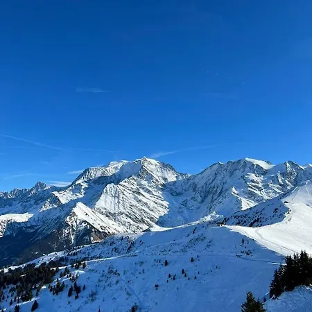 Chalet Cocoon Vue Montblanc