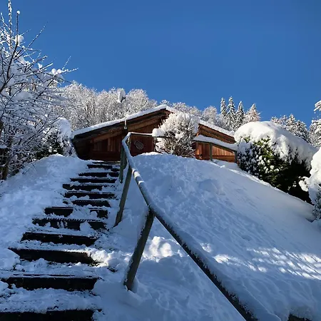 Chalet Cocoon Vue Montblanc
